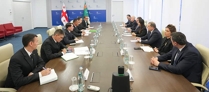 მარიამ ქვრივიშვილი თურქმენეთის მინისტრთა კაბინეტის თავმჯდომარის მოადგილეს შეხვდა - 30.03.2026