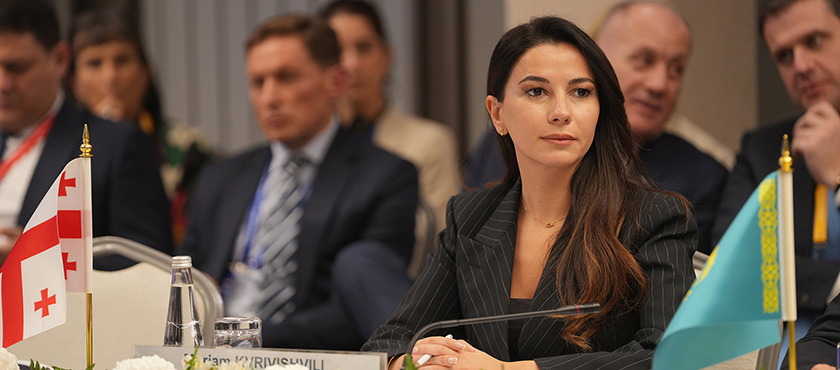 Mariam Kvrivishvili Delivered Speech at Ministerial Meeting of the Countries of EU, Central Asia, South Caucasus and Black Sea Region  - 27.11.2025