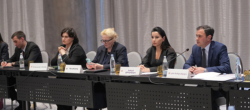 მარიამ ქვრივიშვილმა ენერგეტიკის დარგის მეცნიერებთან და ექსპერტებთან სექტორის განვითარების გეგმა განიხილა