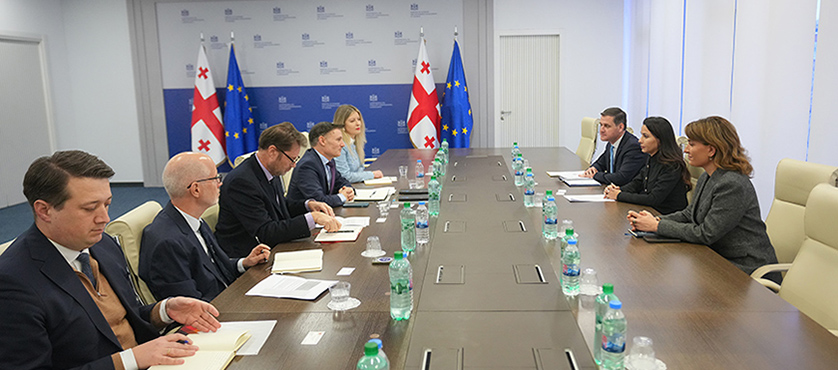 მარიამ ქვრივიშვილმა გაეროს მუდმივ კოორდინატორთან ეკონომიკური თანამშრომლობის მიმართულებები განიხილა - 28.01.2026