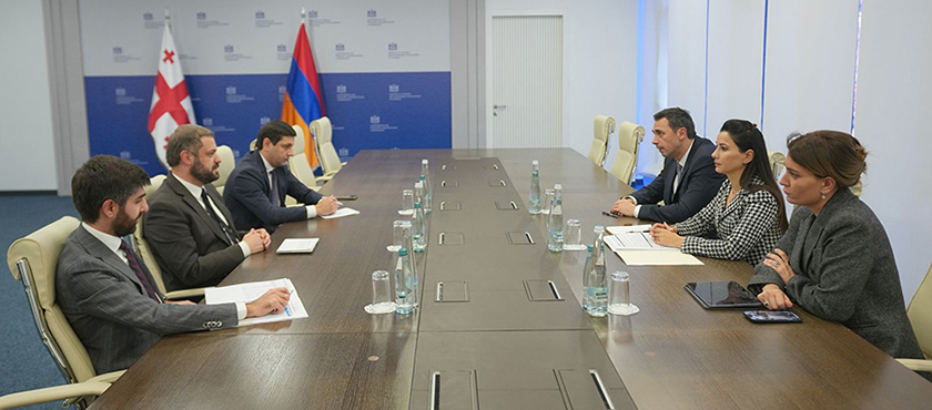 მარიამ ქვრივიშვილი: არსებული სტრატეგიული თანამშრომლობის საფუძველზე, საქართველოსა და სომხეთს შორის ეკონომიკური აქტივობების ზრდას უზრუნველვყოფთ - 19.11.2025