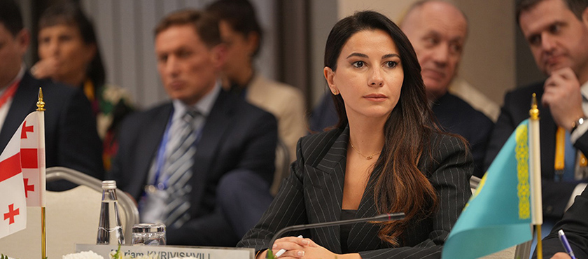 ევროკავშირის, ცენტრალური აზიის, სამხრეთ კავკასიისა და შავი ზღვის რეგიონის ქვეყნების მინისტერიალზე მარიამ ქვრივიშვილი სიტყვით გამოვიდა - 27.11.2025