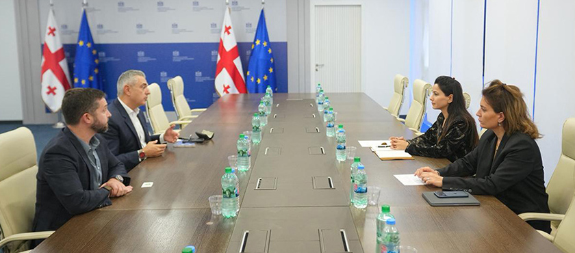 მარიამ ქვრივიშვილმა Global Blue-ს ვიცე-პრეზიდენტთან კომპანიის საქართველოს ბაზარზე შემოსვლის შესაძლებლობა განიხილა - 19.11.2025