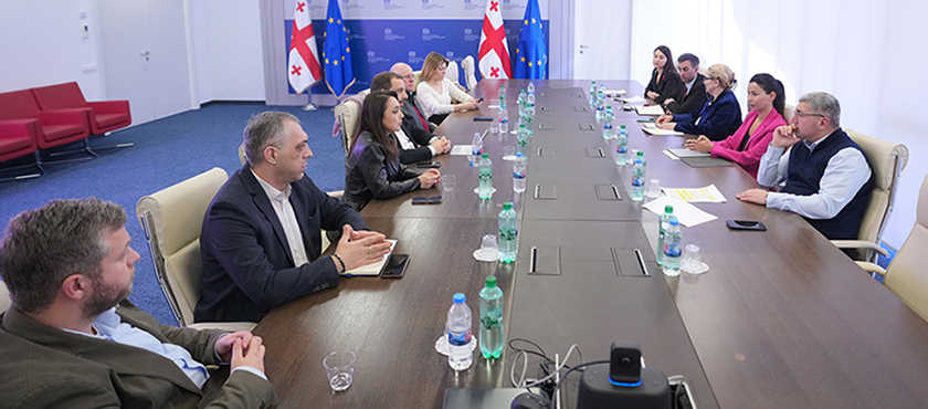 მარიამ ქვრივიშვილმა GREDA-ს წარმომადგენლებთან ელექტროსადგურების მიერ გადახდილი ქონების გადასახადის განაწილებასთან დაკავშირებული კანონპროექტი განიხილა - 18.02.2026