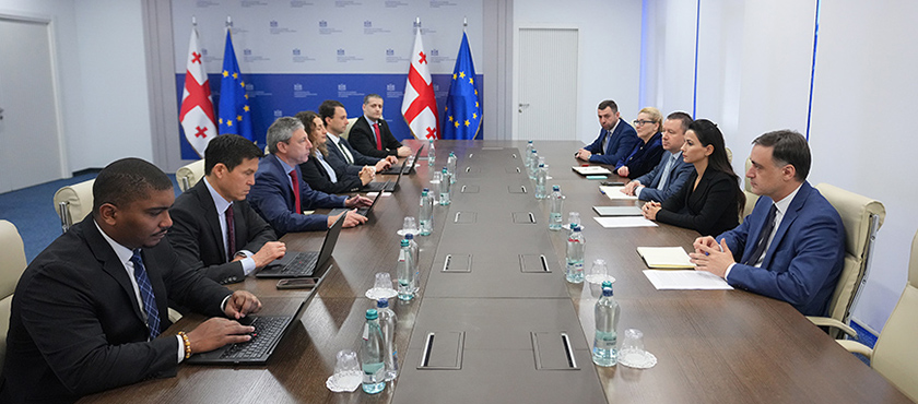 მარიამ ქვრივიშვილი საერთაშორისო სავალუტო ფონდის მისიას შეხვდა - 25.03.2026