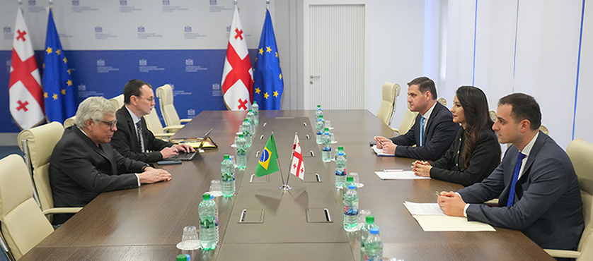 მარიამ ქვრივიშვილმა და ბრაზილიის ელჩმა საქართველოში ორი ქვეყნის ეკონომიკური პარტნიორობის გაღრმავების საკითხები განიხილეს - 28.01.2026