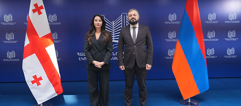 მარიამ ქვრივიშვილი: „სომხეთის ეკონომიკის მინისტრთან შეხვედრა იქნება კიდევ ერთი უმნიშვნელოვანესი საფუძველი ქვეყნებს შორის ეკონომიკური კავშირების, ისევე როგორც ხალხთა შორის კავშირების გაღრმავების მიმართულებით“ - 20.02.2026