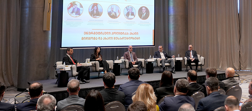 მარიამ ქვრივიშვილი - „ენერგეტიკის სექტორში დადებითი ძვრებია, სახელმწიფო განაგრძობს ყველა იმ ინვესტორის თუ დეველოპერის მხარდაჭერას, რომელიც უზრუნველყოფს დადგმული სიმძლავრეების ზრდას“ - 17.04.2026