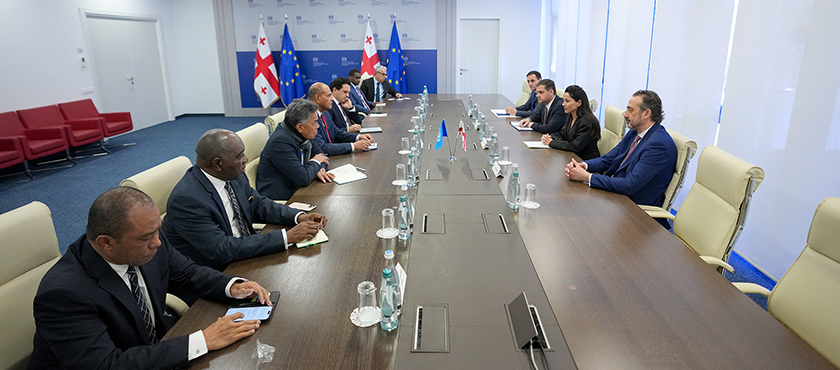 მარიამ ქვრივიშვილი გაეროსთან აკრედიტებულ მუდმივ წარმომადგენლებს შეხვდა - 15.04.2026