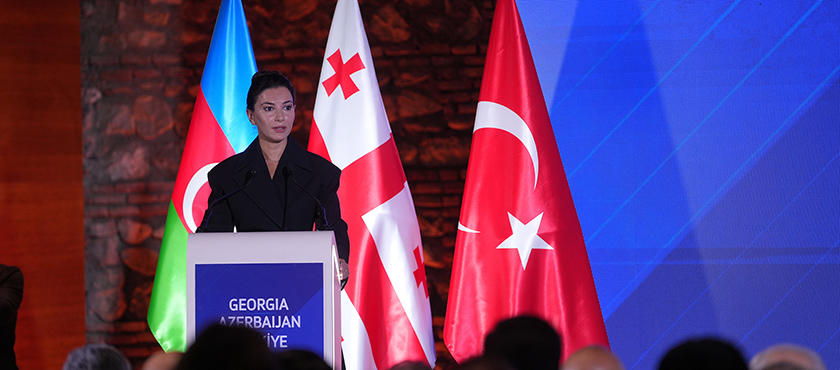 მარიამ ქვრივიშვილი: „მოხარული ვარ, საქართველოში აზერბაიჯანის ეკონომიკის მინისტრსა და თურქეთის ვაჭრობის მინისტრთან ერთად რეგიონის ეკონომიკური განვითარებისა და დაკავშირებადობის განმტკიცების საკითხები განვიხილეთ“ - 26.02.2026