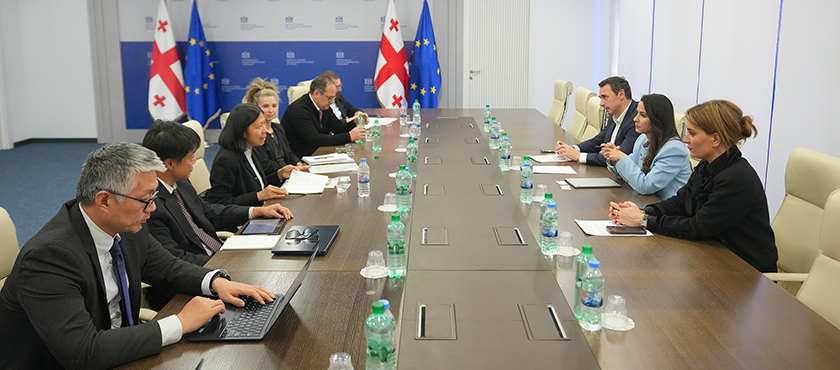 მარიამ ქვრივიშვილმა აზიის განვითარების ბანკის წარმომადგენლებთან სატრანსპორტო დარგის განვითარებისთვის მნიშვნელოვანი ინფრასტრუქტურული პროექტები განიხილა - 23.01.2026