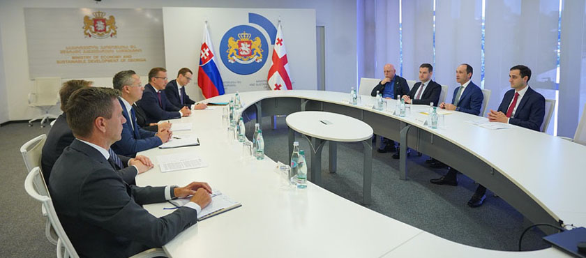 ლევან დავითაშვილი საქართველოში ვიზიტით მყოფ სლოვაკეთის რესპუბლიკის სამთავრობო დელეგაციის წევრებს შეხვდა - 11.06.2024